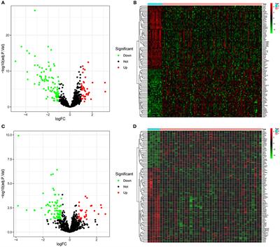 FABP5, a Novel Immune-Related mRNA Prognostic Marker and a Target of Immunotherapy for Multiple Myeloma